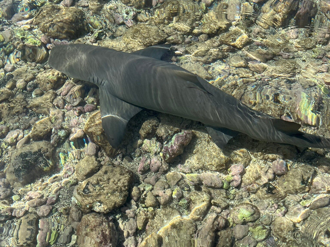 Explore Cape Verde-圣塔玛丽亚必去景点