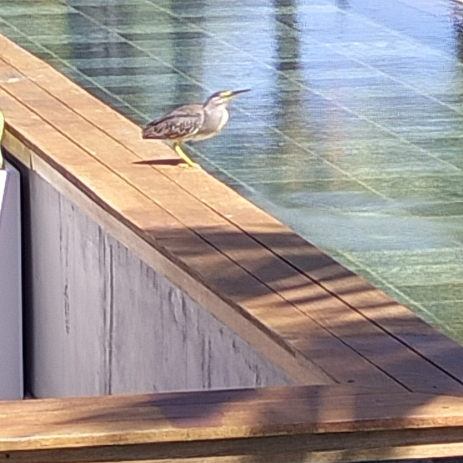 维兰达保尔·弗吉尼酒店及水疗中心-浴室