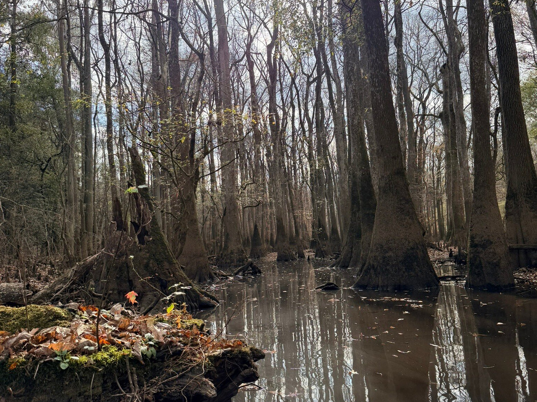 Carolina Outdoor Adventures-厄莫必去景点