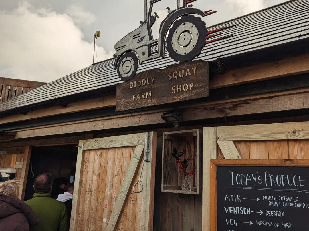 Diddly Squat Farm Shop-奇平诺顿必去景点