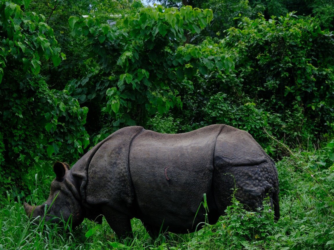 Hello Trekkers-Kirtipur必去景点