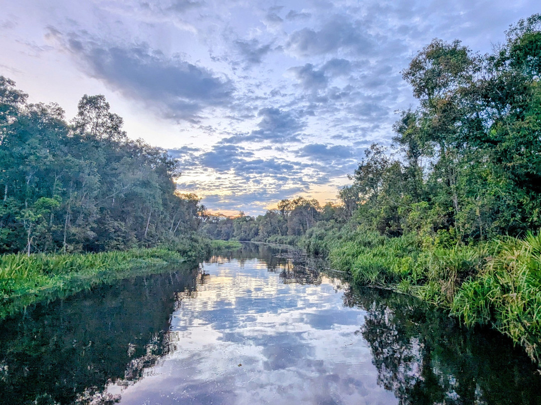 Local Guides - Tanjung Puting-Pangkalan Bun必去景点