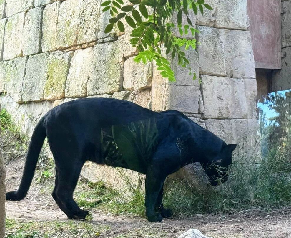 Terra Natura Benidorm-贝尼多姆必去景点