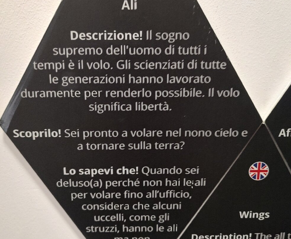 Museum of Senses Bucharest-布加勒斯特必去景点