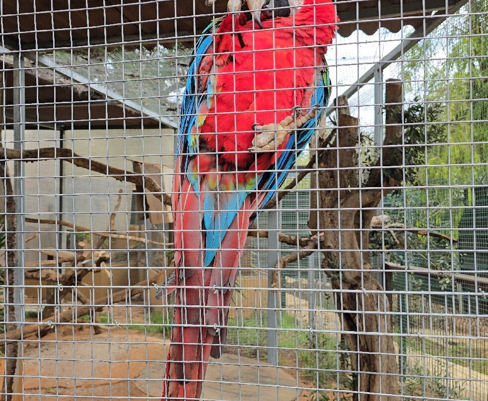 Krazy World Zoo-Algoz必去景点