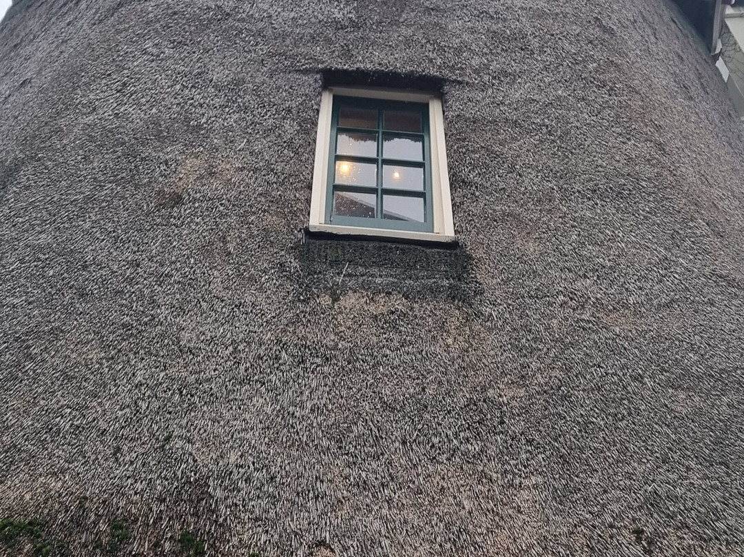 Molen Van Sloten-阿姆斯特丹必去景点