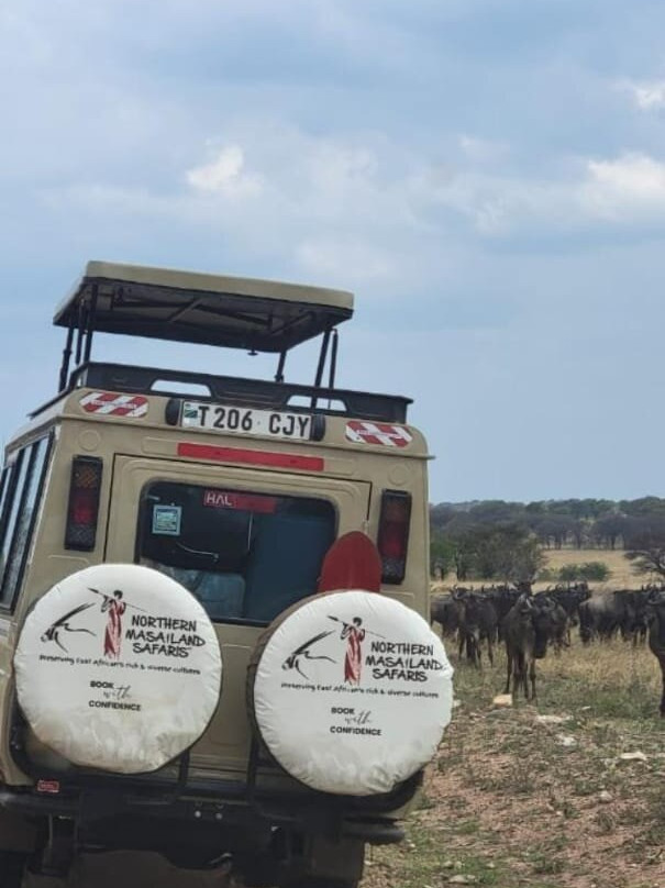 Northern Masailand Safaris-阿鲁沙必去景点