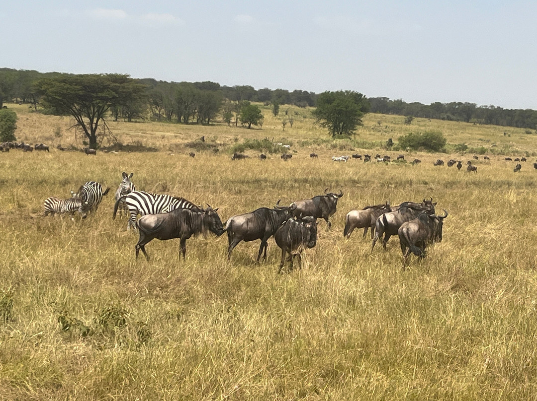 Visit Natives-Kautokeino必去景点