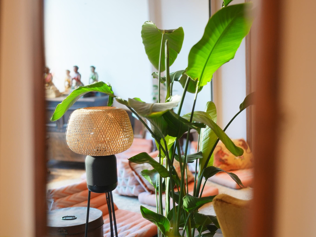 Rincha Thai Café主图