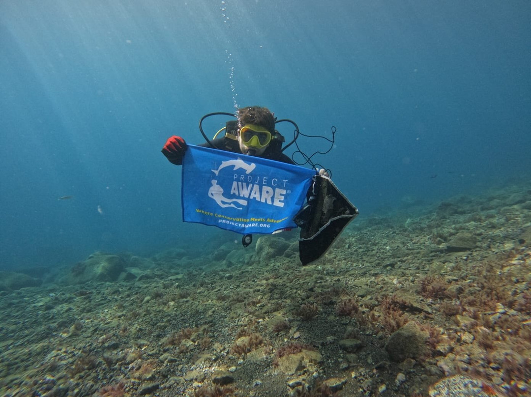 Scubanana Dive Center-圣克鲁斯-德特内里费必去景点