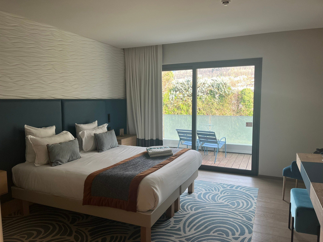 Rivage Hôtel & Spa Annecy主图