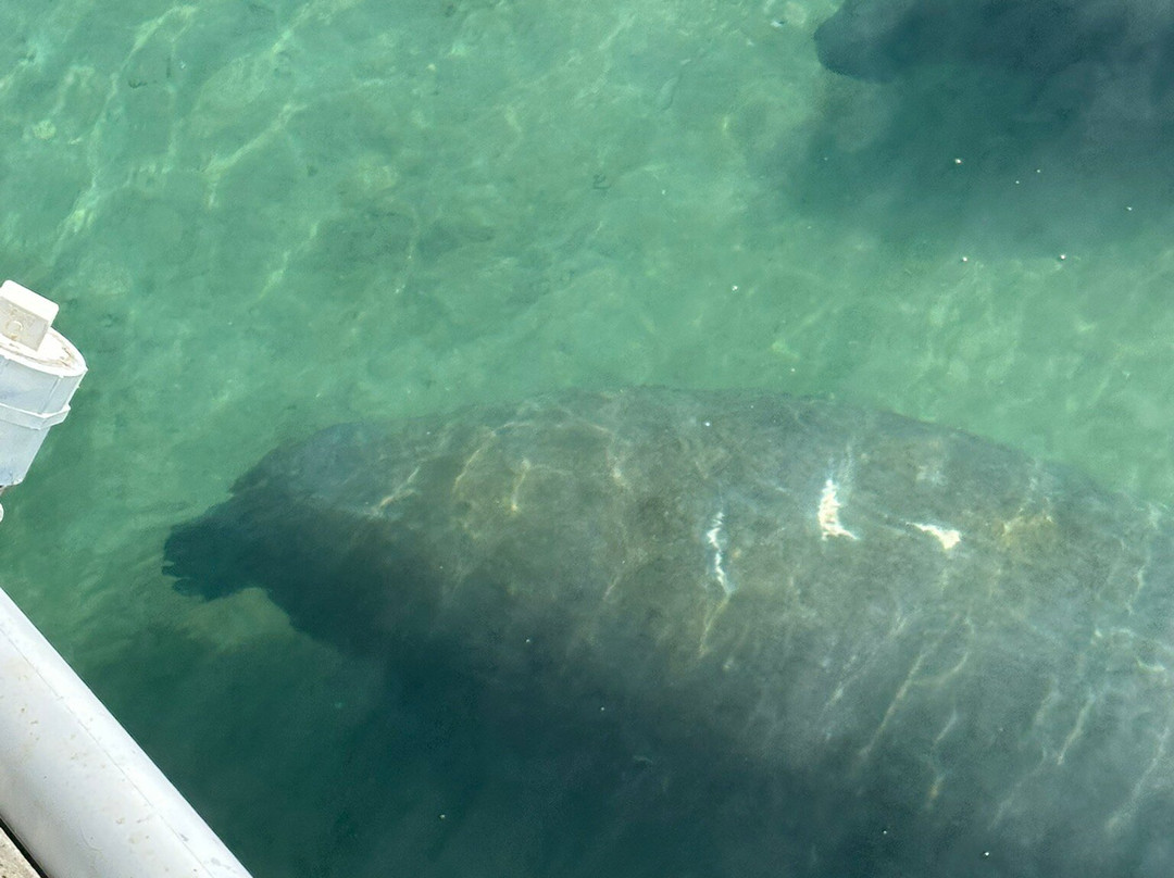Manatee Lagoon-西棕榈滩必去景点
