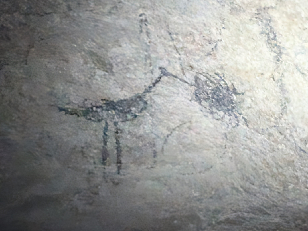 Peninsula Tours Las Terrenas-拉斯特拉纳斯必去景点