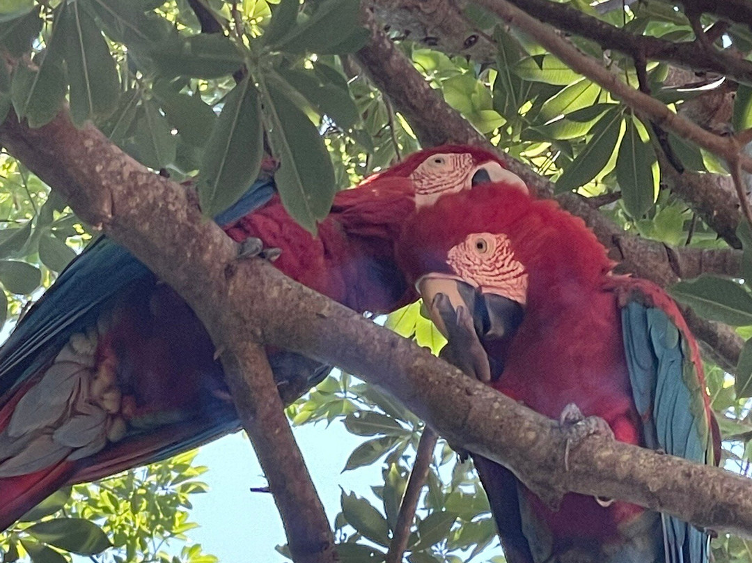 Recanto Ecologico Rio da Prata-博尼图必去景点