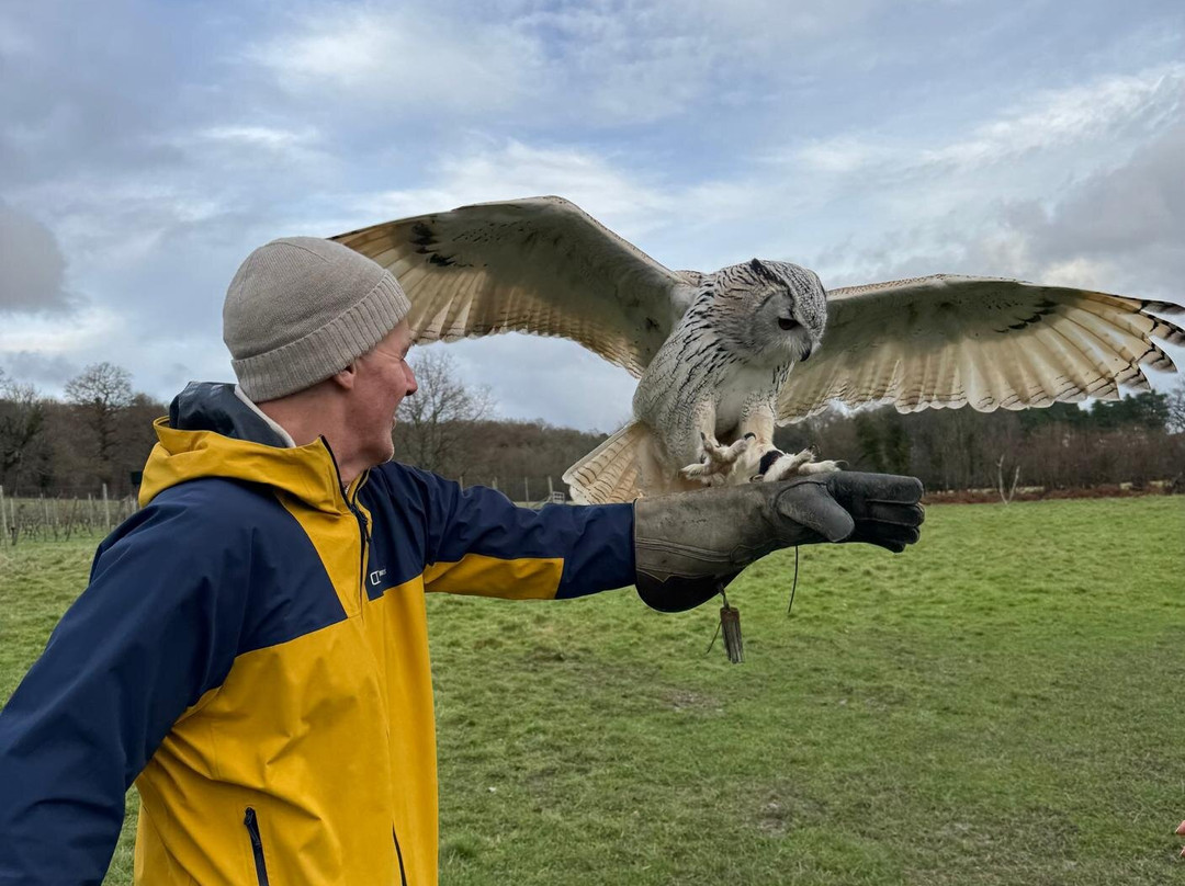 UK Owl And Raptor Centre-Groombridge必去景点