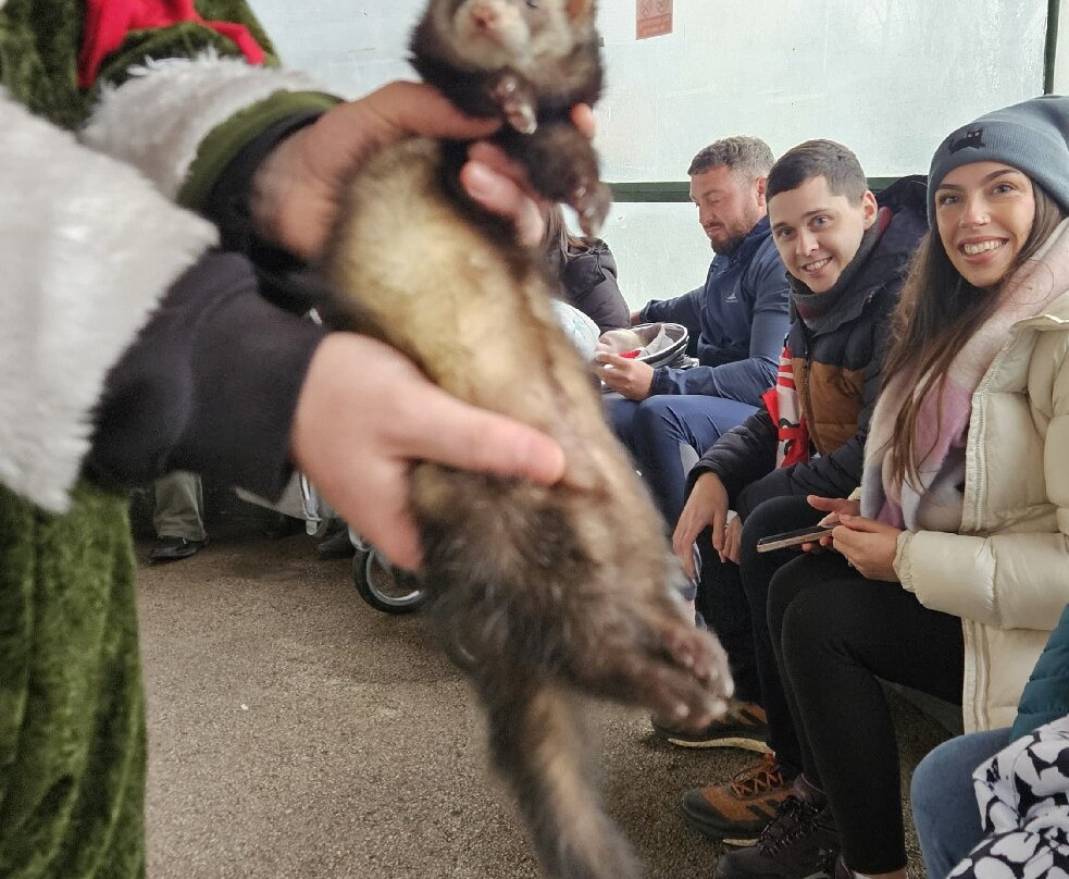 Greenacres Animal Park-Deeside必去景点