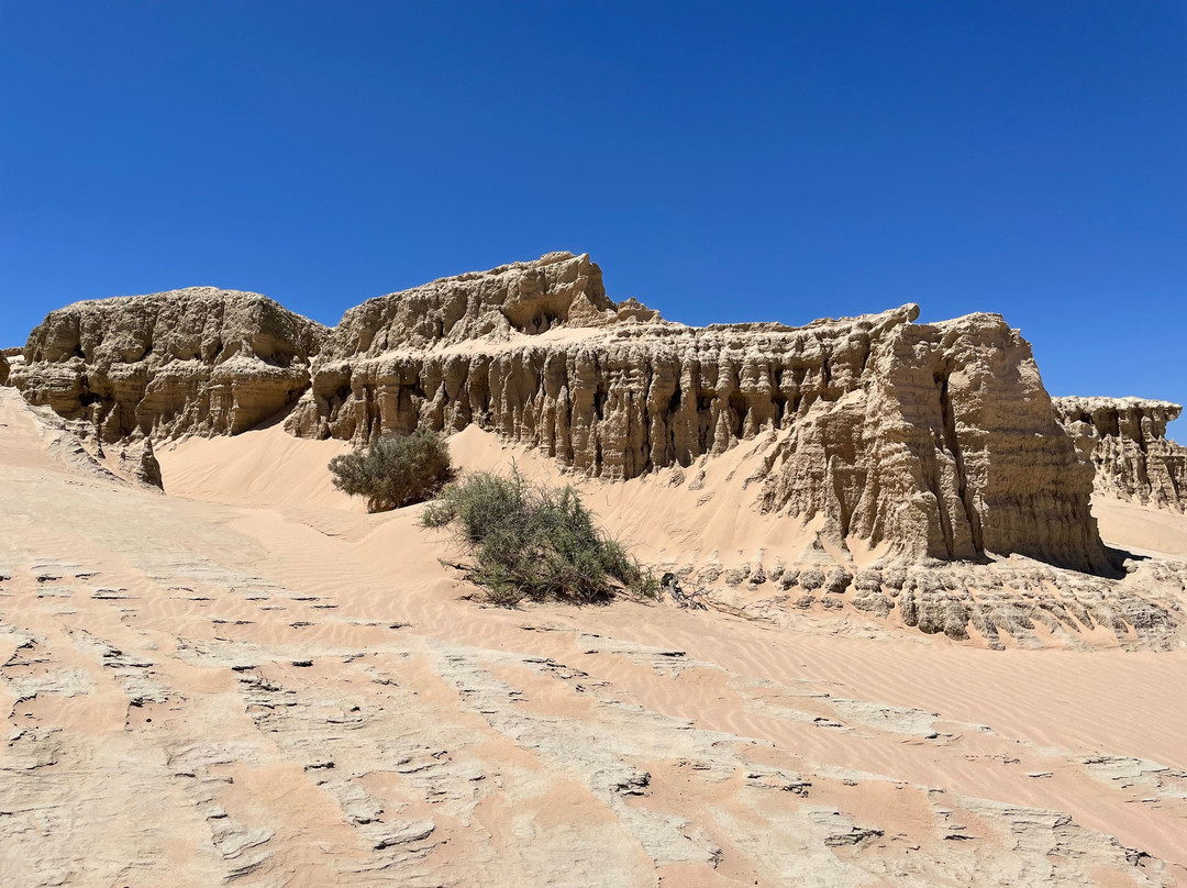 Discover Mildura - Day Tours-米尔杜拉必去景点