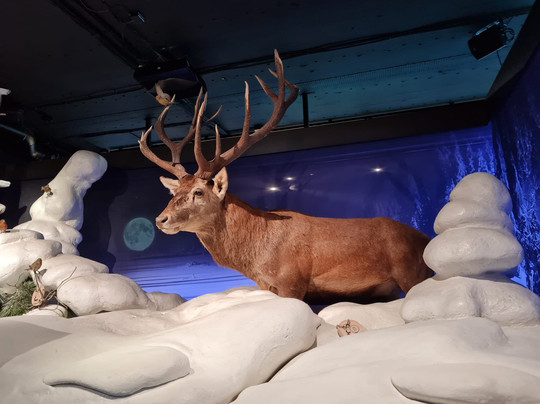 Nationalparkzentrum Ruhestein-Seebach必去景点