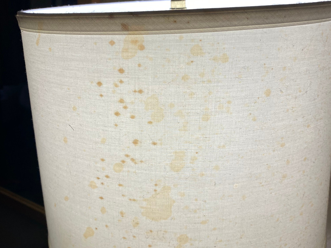 Extended Stay America Chicago - Westmont - Oak Brook主图