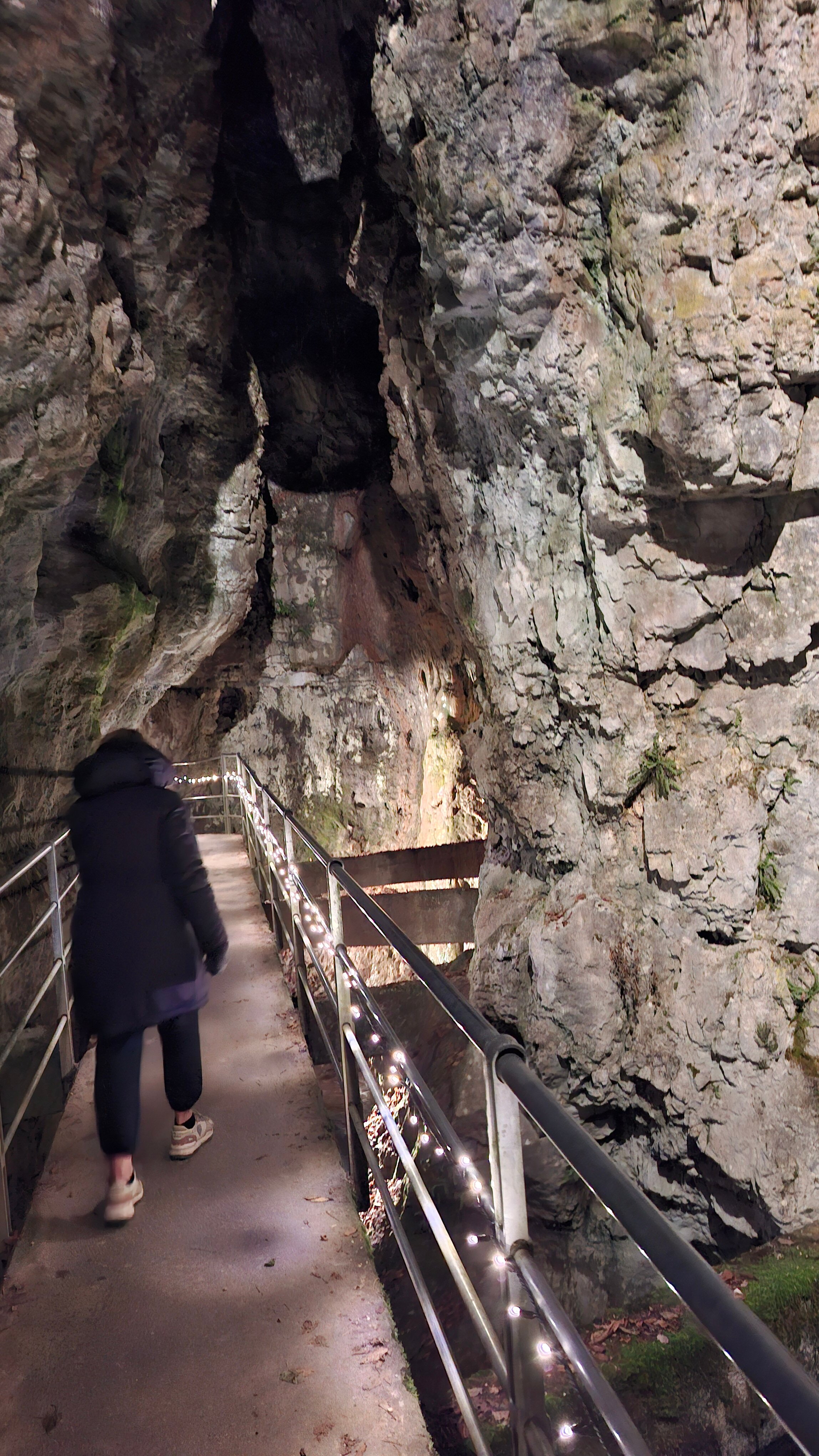 Agritur Pisani-官方