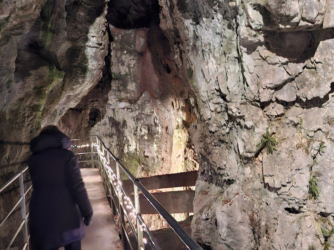 Agritur Pisani主图