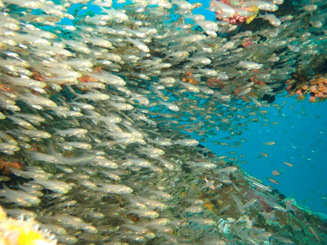 Dune Maldives-胡鲁马累必去景点
