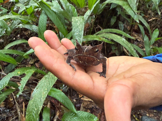 Colombia Remote Adventures-莱蒂西亚必去景点