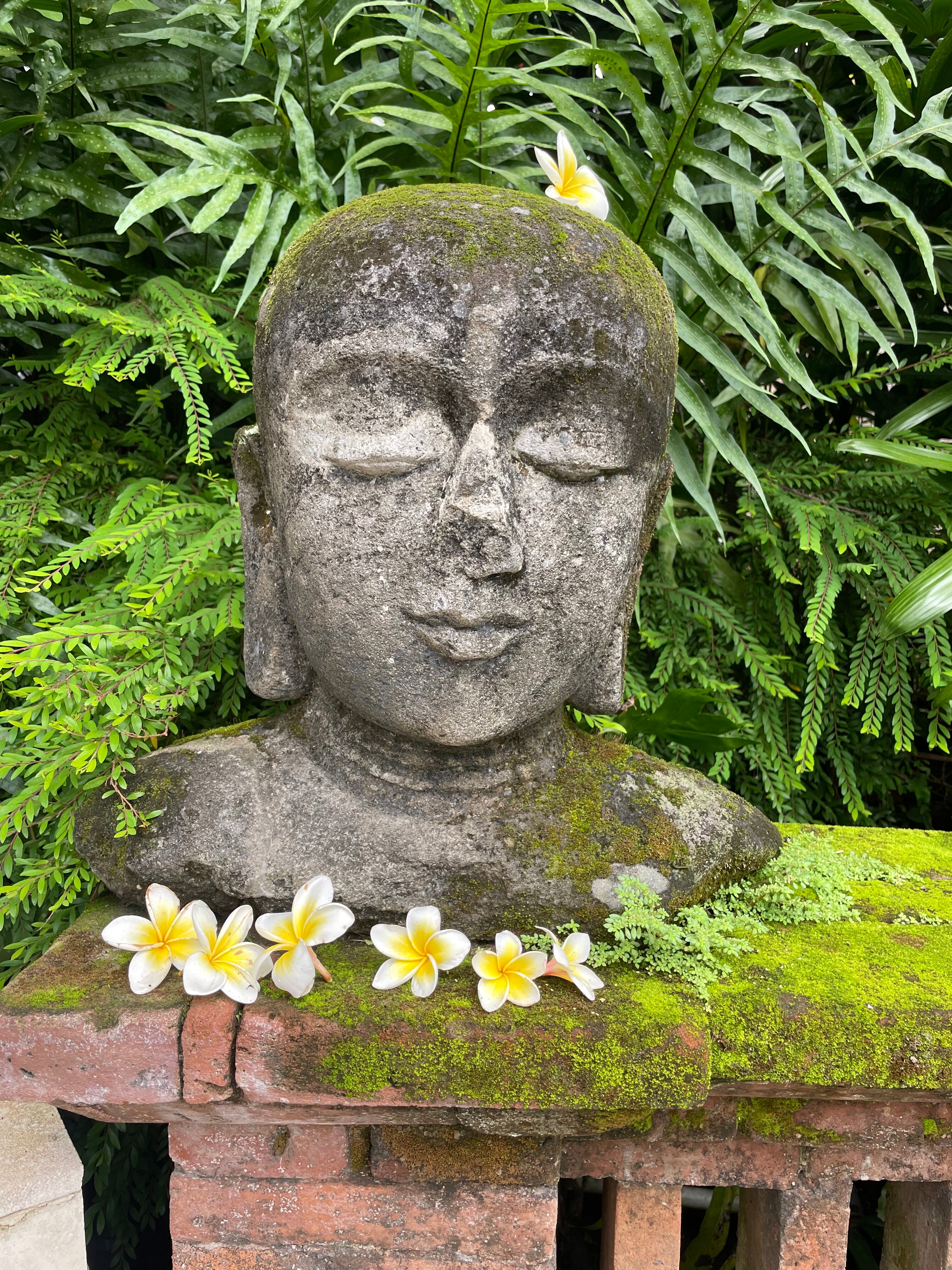 达迈乐薇那别墅酒店-官方