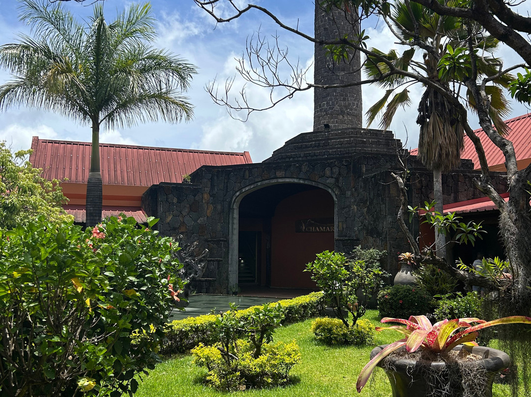 Excursion Ile Maurice-路易士港必去景点