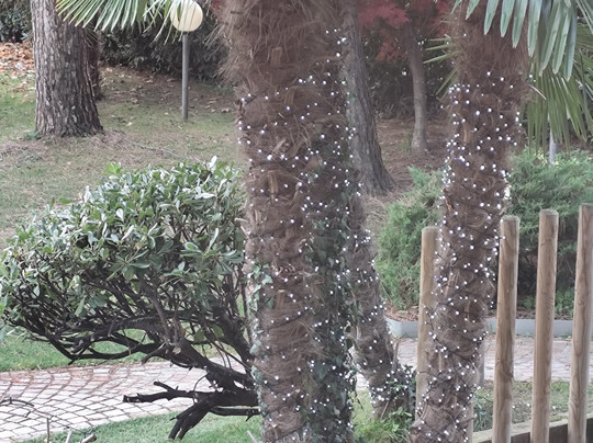 Le Palme Rooms & Breakfast by La Villa主图