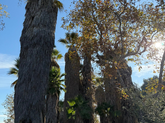 圣塔安那农场植物园-克莱蒙特必去景点