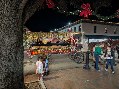 Carriage Tours of Savannah-萨凡纳必去景点