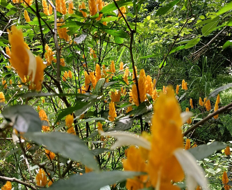 Hosteria Izhcayluma Spa-Vilcabamba必去景点