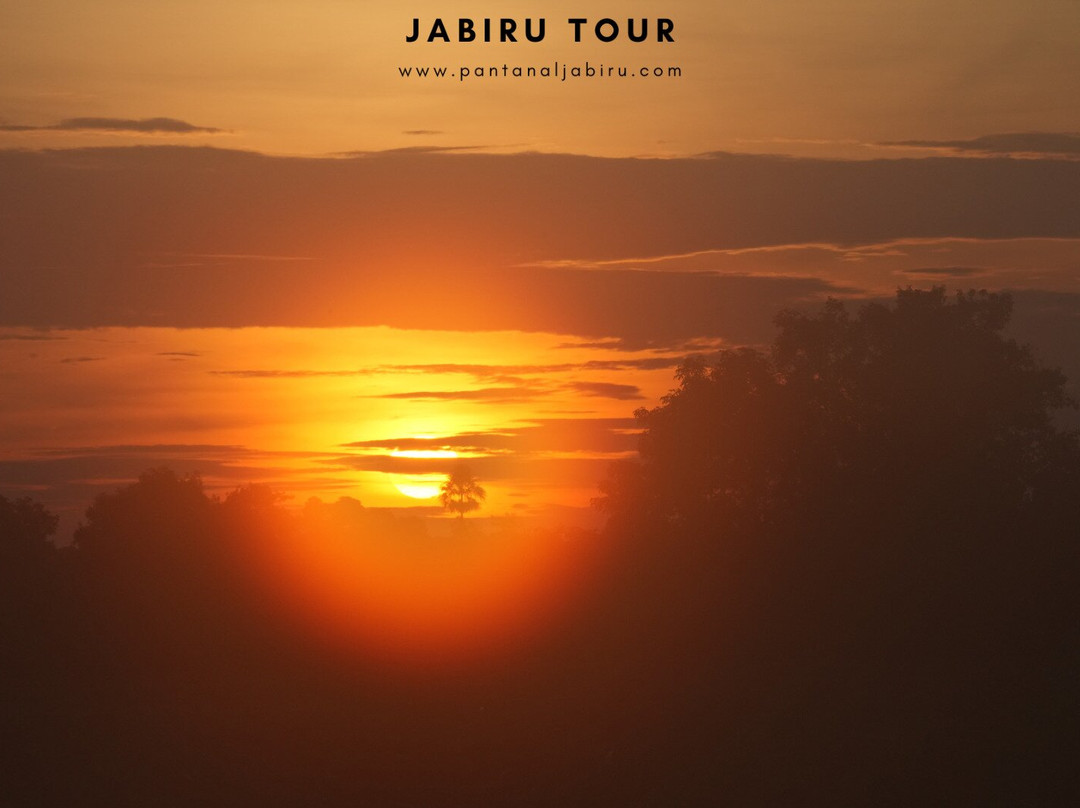 Jabiru Tour-Cuiaba必去景点