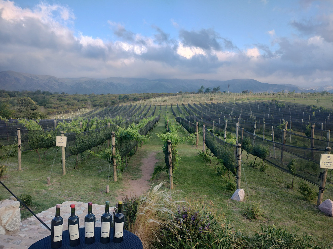 Cordoba Wine Travel-科尔多瓦必去景点