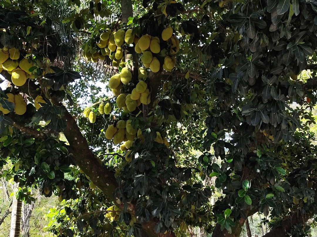 Vida Boa Pousada主图