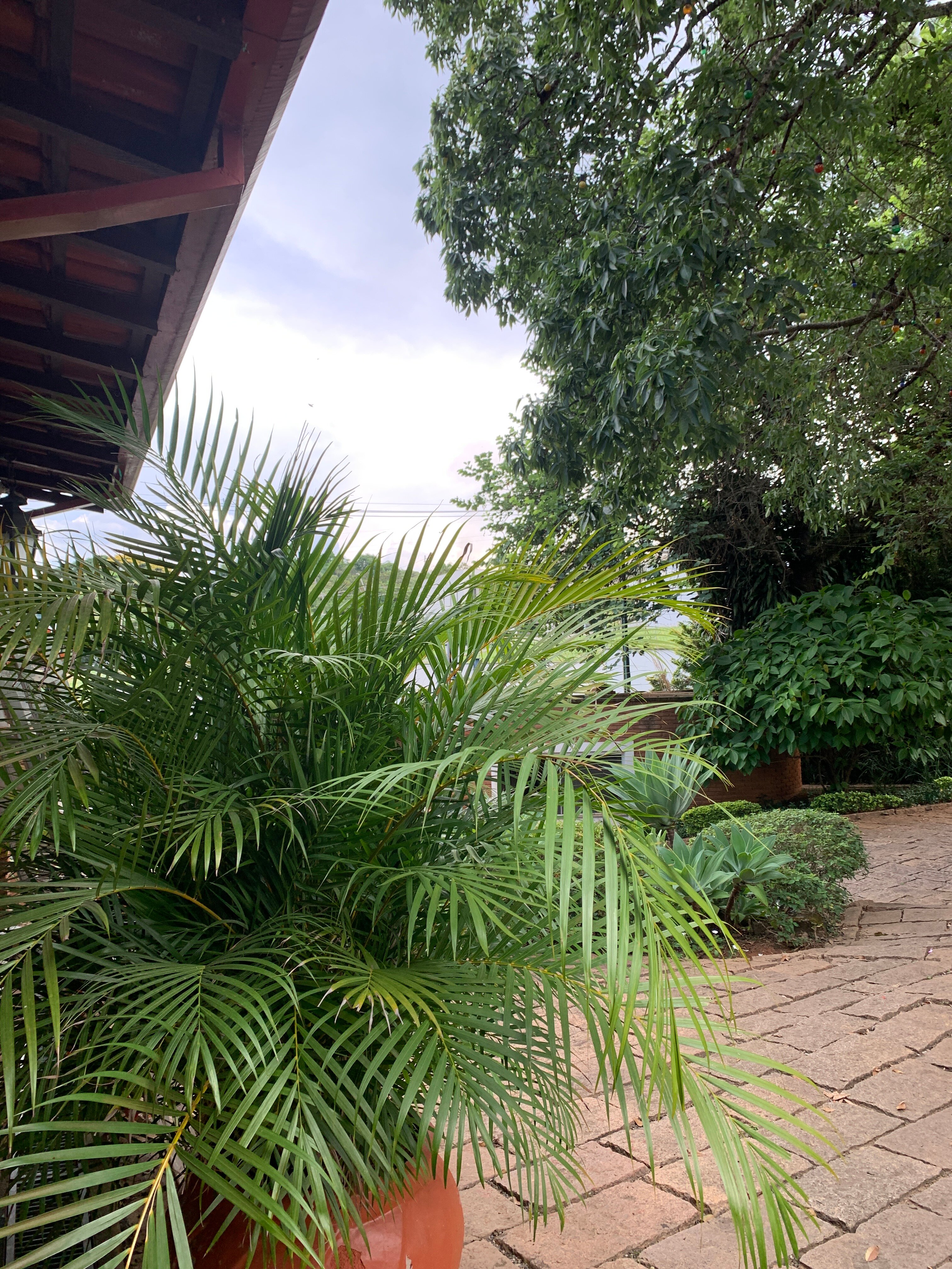 Grinberg's Village Hotel-官方