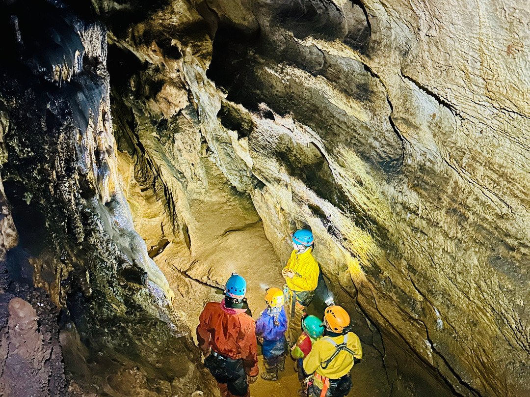 Lo des cavernes-Soreze必去景点