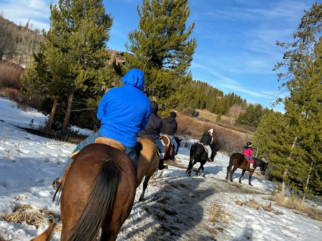Rocky Mountain Stables-格兰比必去景点