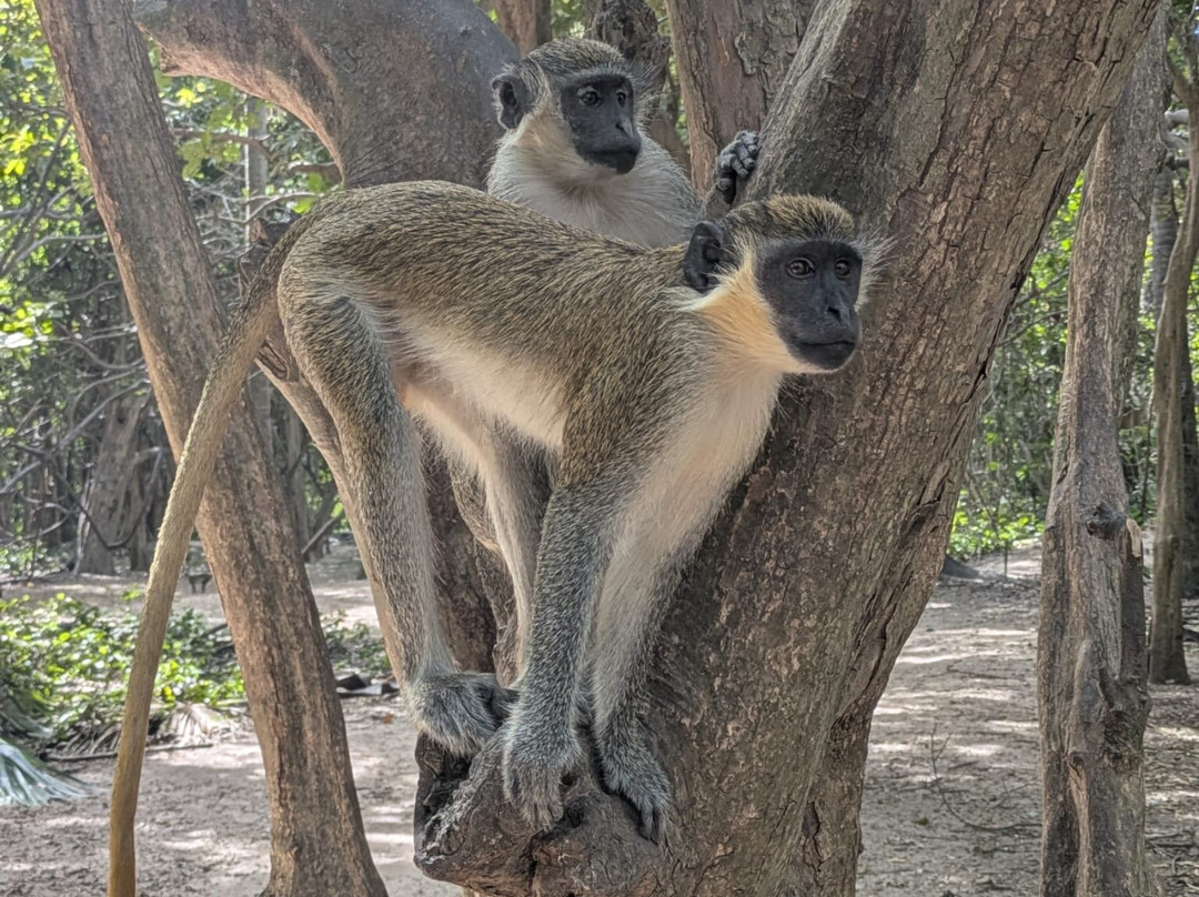 比吉洛森林公园-班竹必去景点