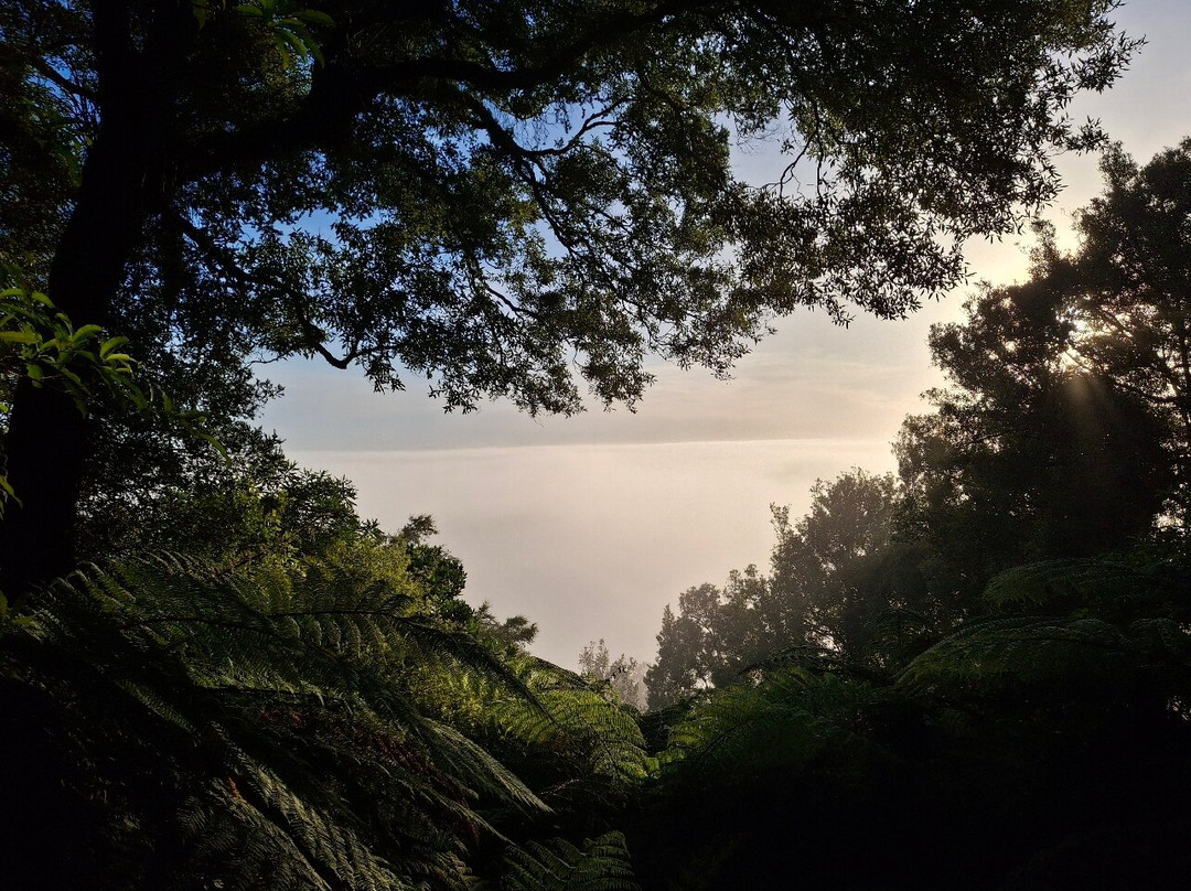 Hakarimata Walkway-Ngaruawahia必去景点