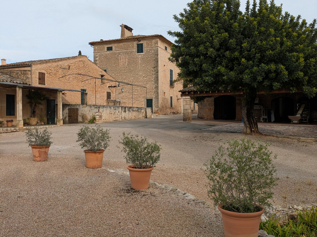 Bodega Ribas-Consell必去景点