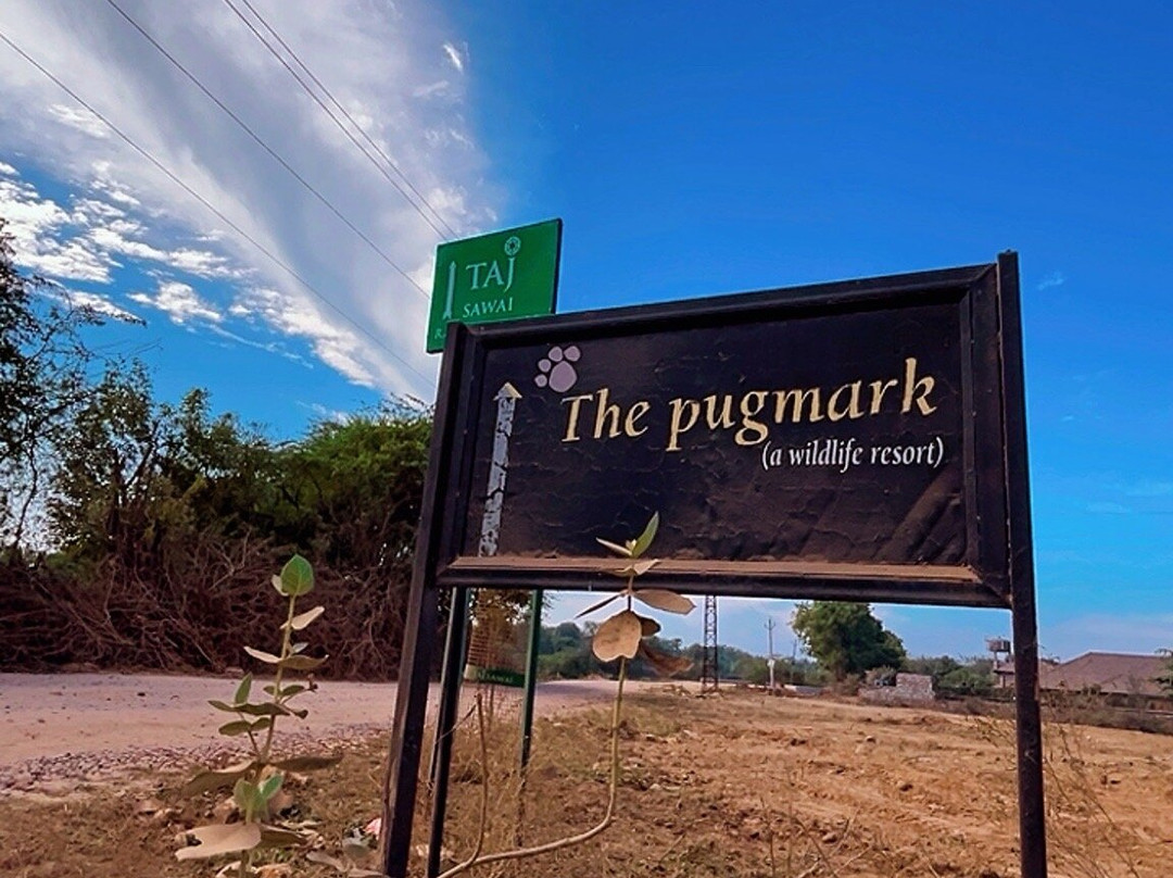The Pugmark Resort主图