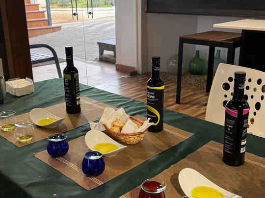 Oleícola San Francisco-Begijar必去景点