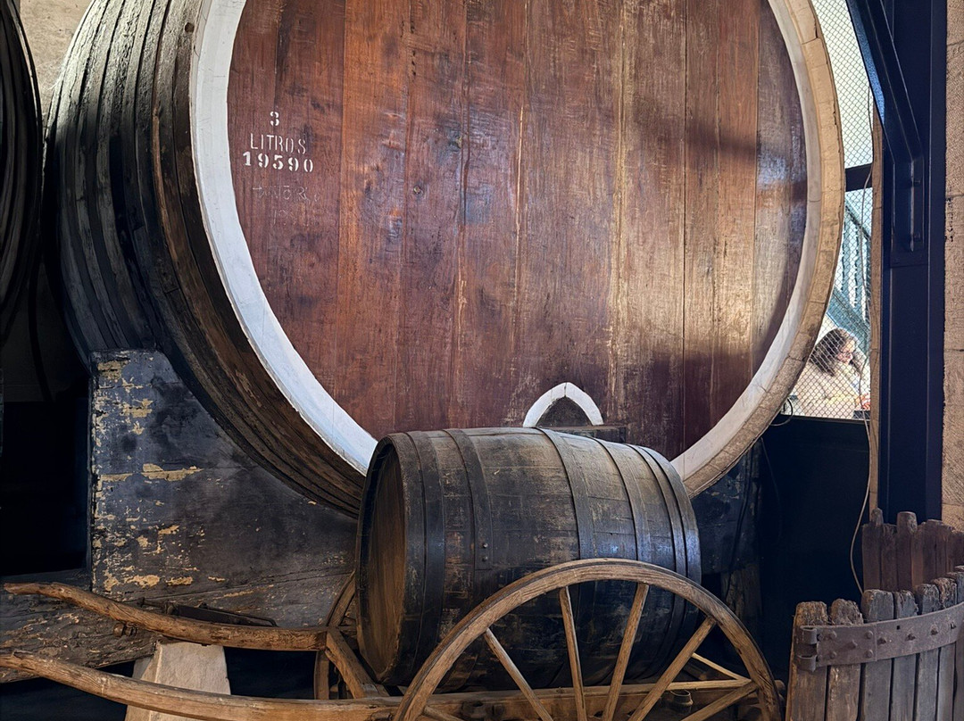 Adega Regional de Colares-科拉雷斯必去景点