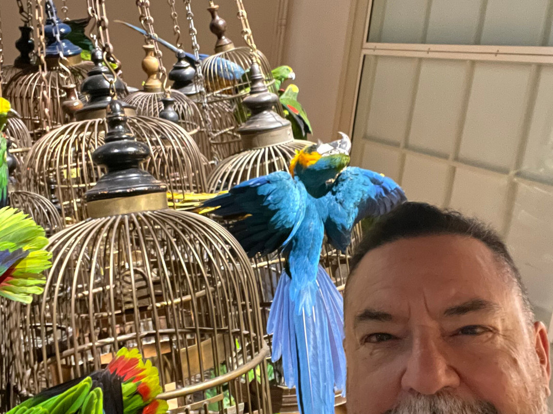 Art Zoo Museum-阿姆斯特丹必去景点