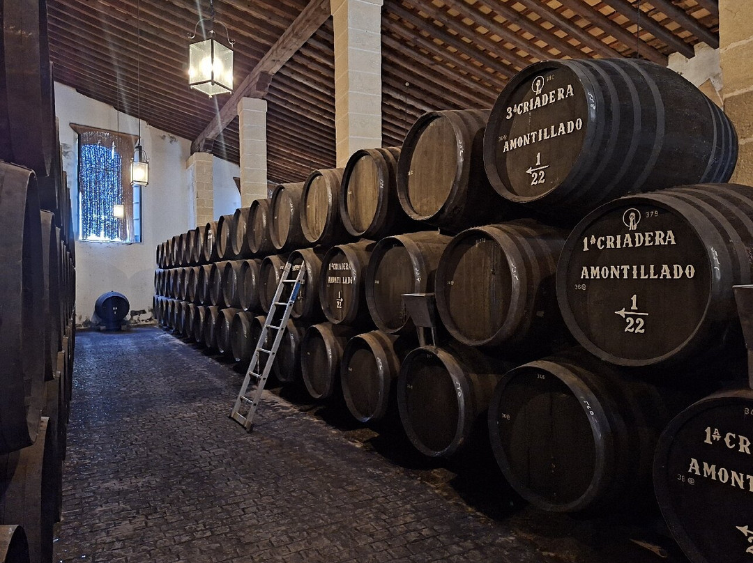 Bodegas Tradicion-赫雷斯德拉弗隆特拉必去景点