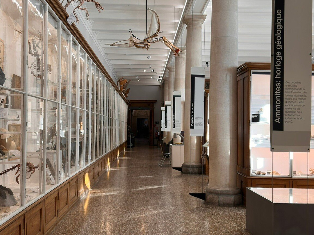 Palais de Rumine-洛桑必去景点