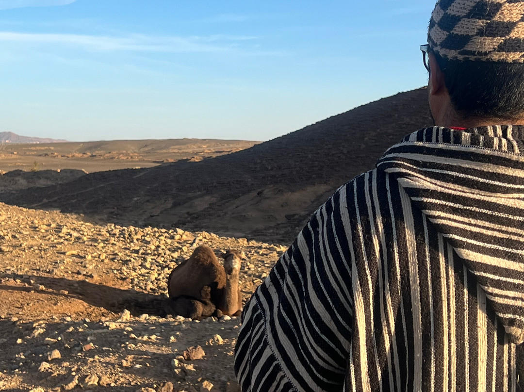 Redouane Sahara Tours-伊拉悉迪亚必去景点