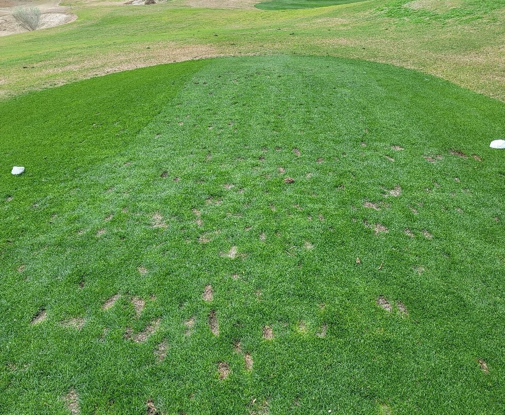 SilverRock Resort-拉金塔必去景点